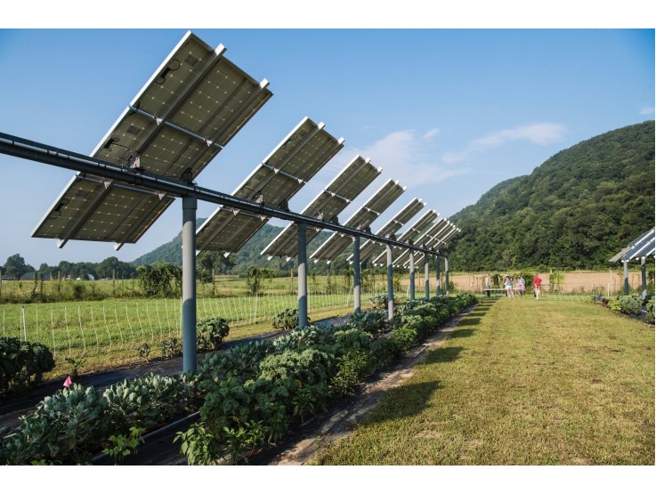 Чем солнечные батареи интересны для фермерского хозяйства?